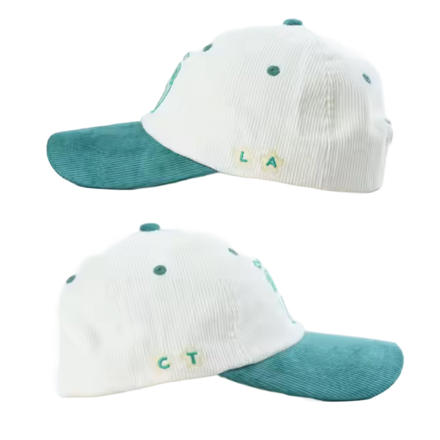 Chunky Frog Logo Corduroy Color Block Hat