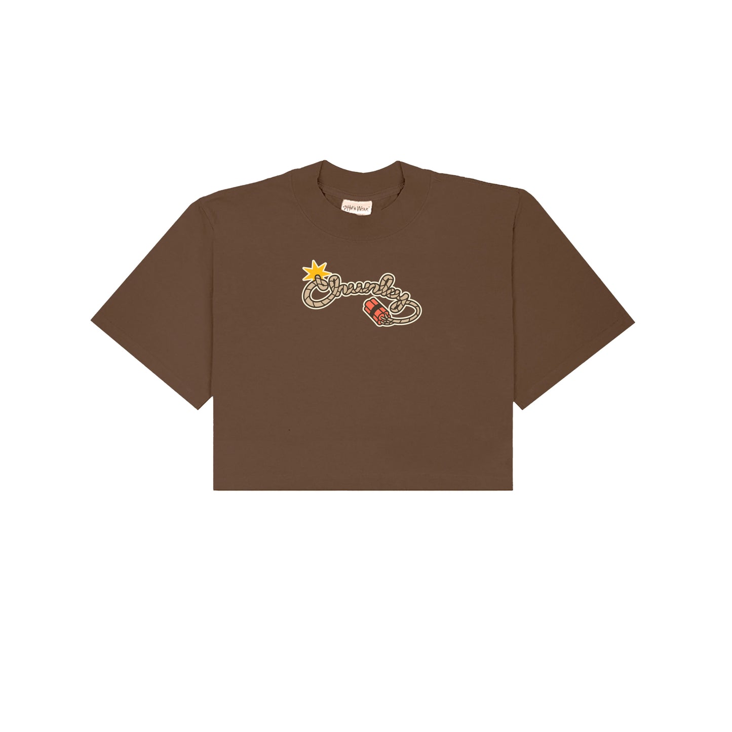 Chunky Lucky Horse Coin Cropped T-Shirt - Brown