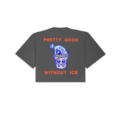 Chunky Without Ice Cropped T-Shirt - Shadow