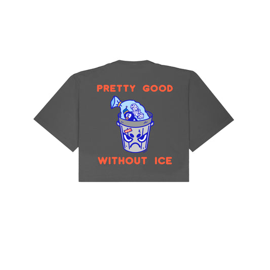 Chunky Without Ice Cropped T-Shirt - Shadow